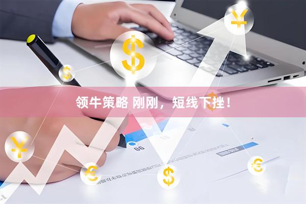 领牛策略 刚刚，短线下挫！