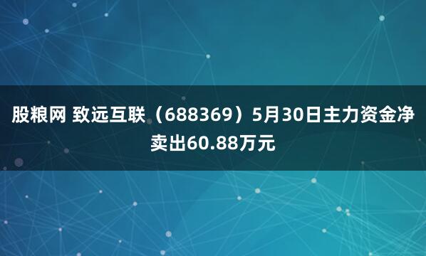 股粮网 致远互联（688369）5月30日主力资金净卖出60.88万元