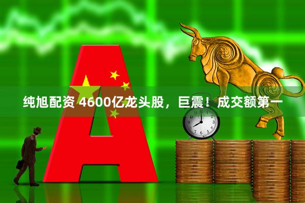 纯旭配资 4600亿龙头股，巨震！成交额第一