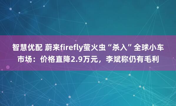 智慧优配 蔚来firefly萤火虫“杀入”全球小车市场：价格直降2.9万元，李斌称仍有毛利