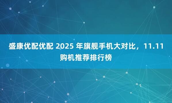 盛康优配优配 2025 年旗舰手机大对比，11.11购机推荐排行榜
