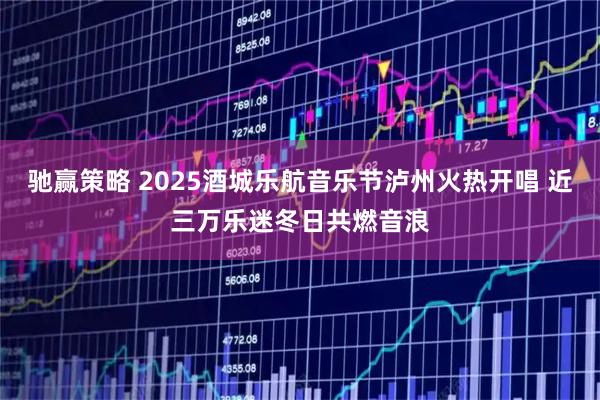 驰赢策略 2025酒城乐航音乐节泸州火热开唱 近三万乐迷冬日共燃音浪