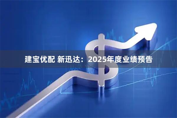 建宝优配 新迅达：2025年度业绩预告
