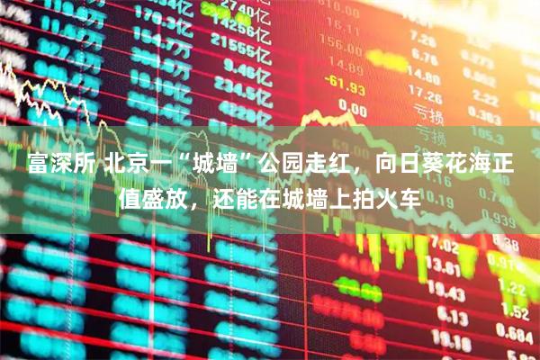 富深所 北京一“城墙”公园走红，向日葵花海正值盛放，还能在城墙上拍火车