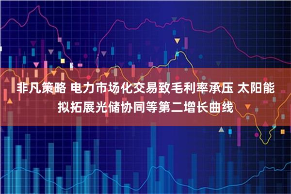 非凡策略 电力市场化交易致毛利率承压 太阳能拟拓展光储协同等第二增长曲线